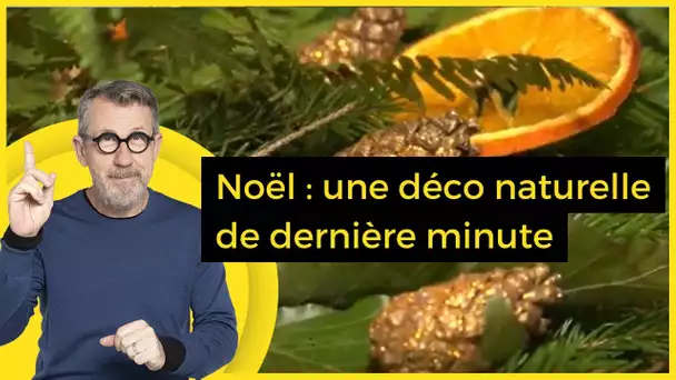 Noël : une déco naturelle de dernière minute - C Jamy