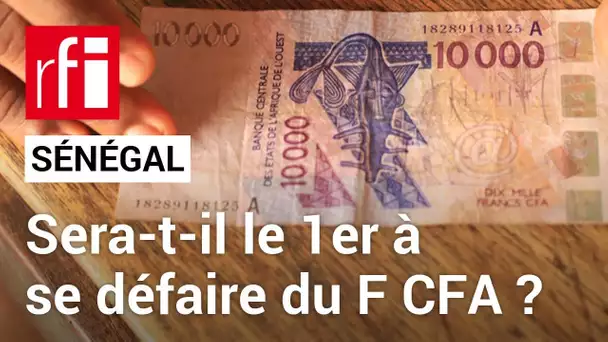 Le Sénégal, tête de pont de la sortie du franc CFA • RFI