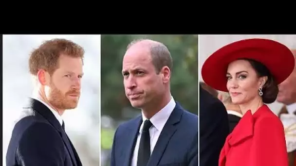 Le prince Harry « demande des ennuis » avec le coup de Netflix contre le prince William et la prince