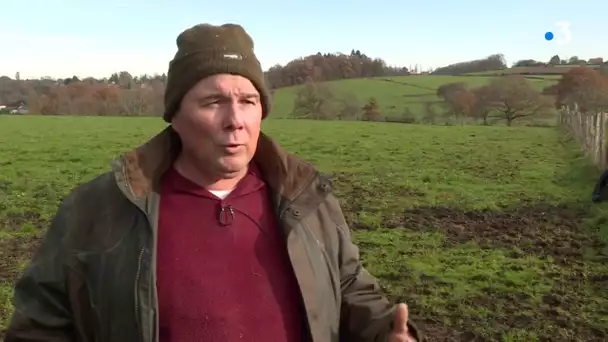 Les agriculteurs vont-ils manifester en Limousin ?