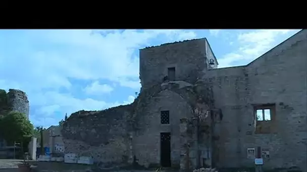 Visite du château de Druyes-les-Belles-Fontaines