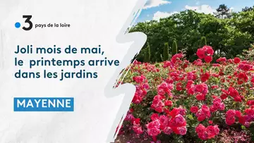 Mayenne : les parcs et jardins profitent du beau temps