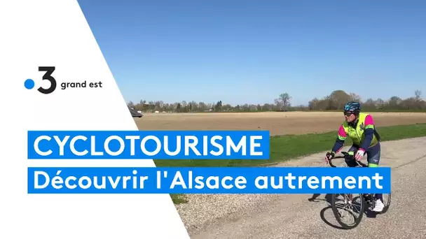 L'Alsace à vélo : 2.500km de véloroutes et voies vertes