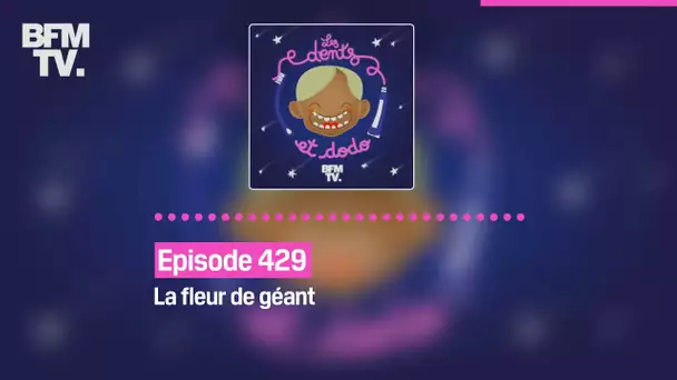 Les dents et dodo - Episode 429: la fleur de géant