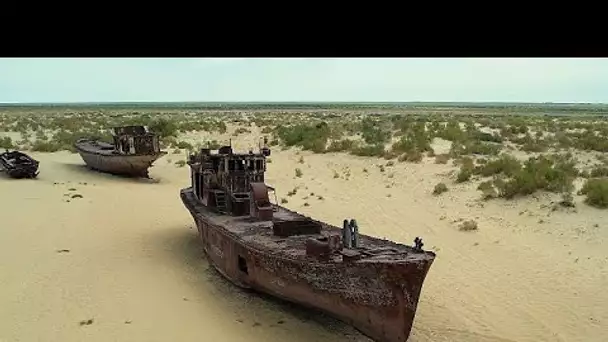 Végétaliser le lit de la mer d'Aral : le pari de l'Ouzbékistan