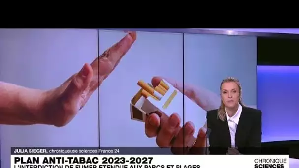 Plan anti-tabac : l'interdiction de fumer étendue aux parcs et plages • FRANCE 24