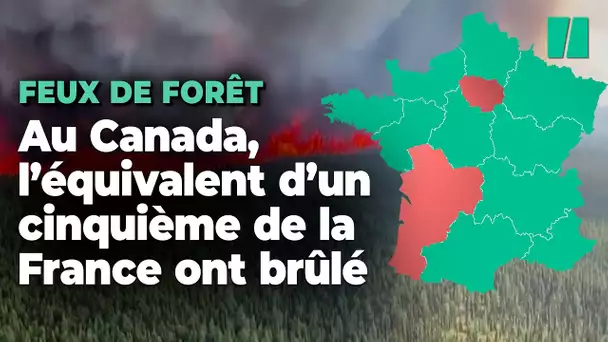 Canada : 10 millions d’hectares brûlés par les incendies, soit un cinquième de la France hexagonale
