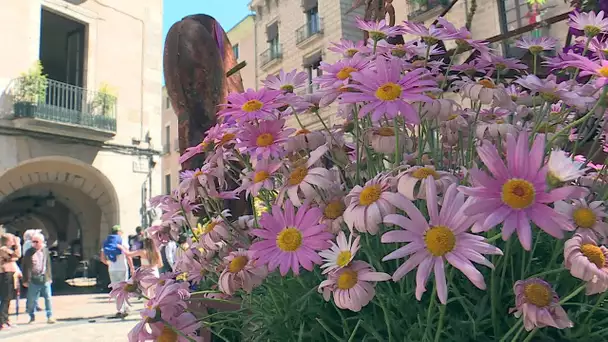 Gérone (Catalogne) : capitale des fleurs