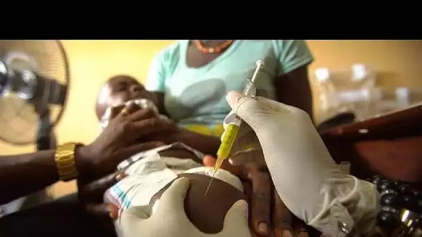 Sur les traces d'un futur vaccin contre le virus Ebola