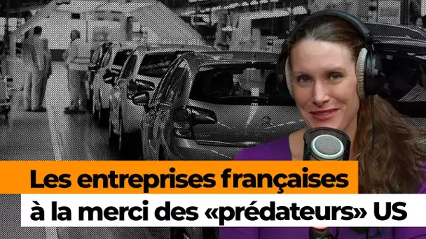 «Des entreprises françaises sont rachetées par la concurrence pour être pillées, puis éliminées»