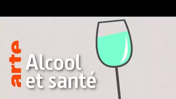 Un verre de vin à chaque repas est bon pour la santé : Vrai ou Faux ? | Data Science vs Fake | ARTE