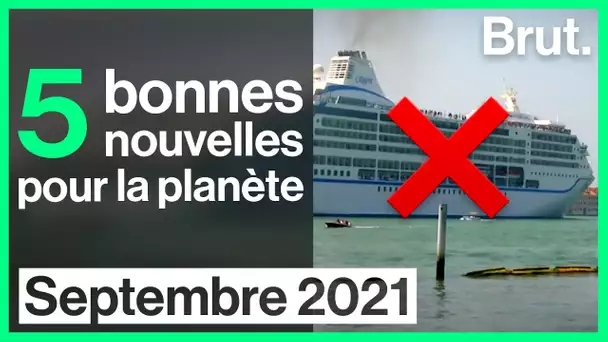 5 bonnes nouvelles pour la planète