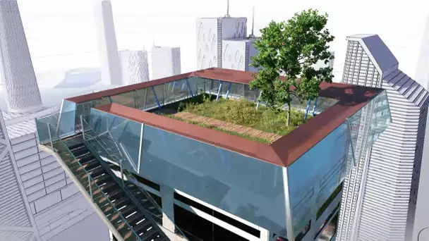 Ad'Oc : des étudiants de Perpignan imaginent un système d'irrigation pour végétaliser les toits