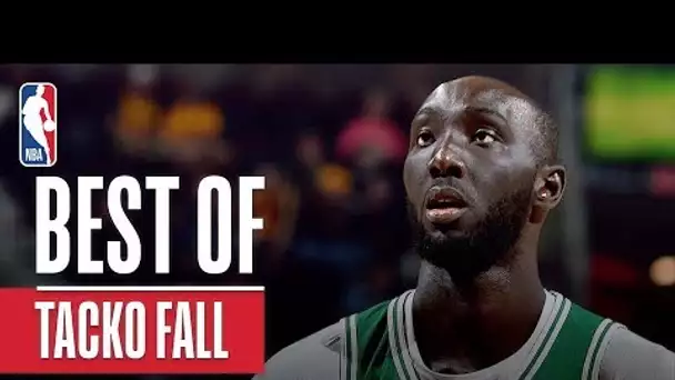 Best of Tacko Fall From 2019 NBA Preseason