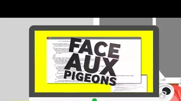 Face aux Pigeons #20