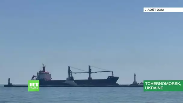 Ukraine : le premier cargo étranger arrive à Tchernomorsk pour charger des céréales