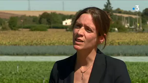 Sécheresse : la Charente contrôle les prélèvements en eau des agriculteurs