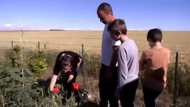 Potager, charcuterie, ils font tout eux-mêmes, et ça rapporte !