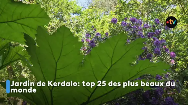 Jardin de Kerdalo: top 25 des plus beaux du monde
