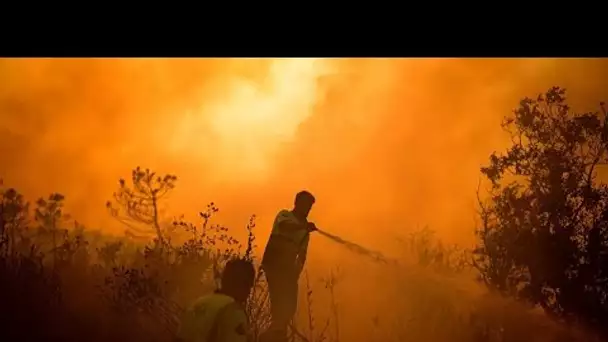 Incendies dans les pays méditerranéens : les pompiers à pied d'oeuvre en Grèce