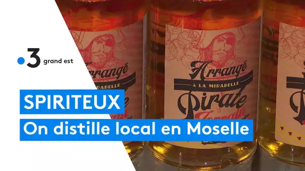 Une distillerie de Moselle propose des spiritueux locaux