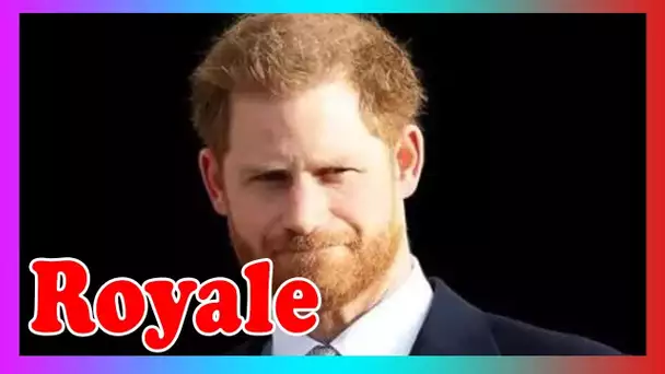 Le prince Harry ''serait une distraction'' au mémorial du prince Philip - POLL