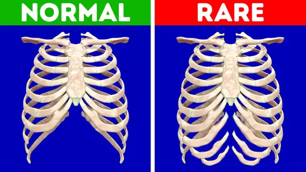 Devine si Ces Idées Reçues sur des Particularités Physiques Sont Vraies ou Fausses