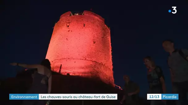 Nuit de la chauve-souris au château fort de Guise