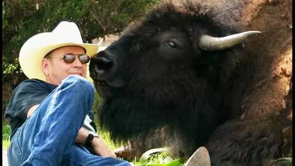Cet homme est le meilleur ami d&#039;un bison - ZAPPING SAUVAGE