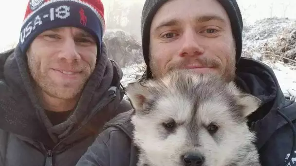 Un skieur olympique sauve 90 chiens d'une mort certaine