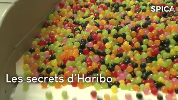 Haribo : le secret derrière la réussite