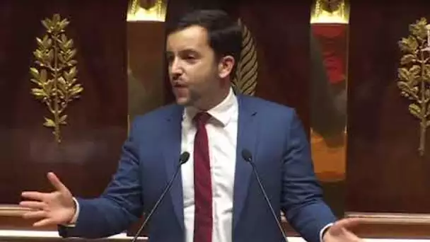 UN DÉPUTÉ RN HURLE À L'ASSEMBLÉE