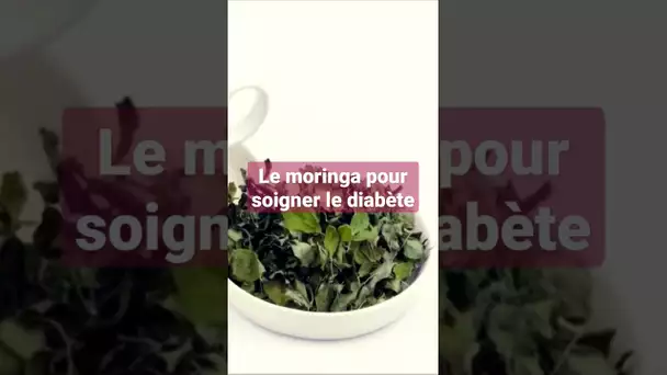 Comment soigner le diabète avec le moringa