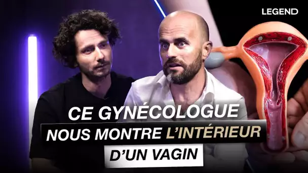 Ce gynécologue nous montre une maquette de vag*n