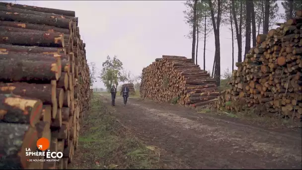 la Sphère Eco : la Nouvelle-Aquitaine envoie du bois