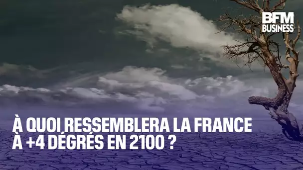 À quoi ressemblera la France à +4 dégrés en 2100 ?