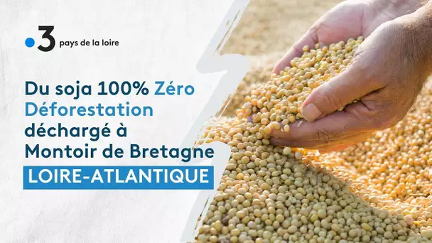 Une première en France et en Europe : du soja 100% Zéro Déforestation déchargé à Montoir de Bretagne