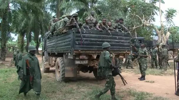 Combattantes du Nord-Kivu, l'impossible destin