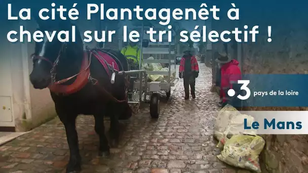 Le Mans : très "à cheval" sur le tri sélectif