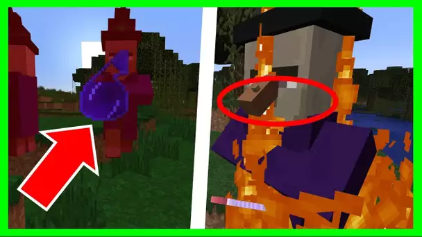 10 SECRETS SUR LES SORCIERES MINECRAFT