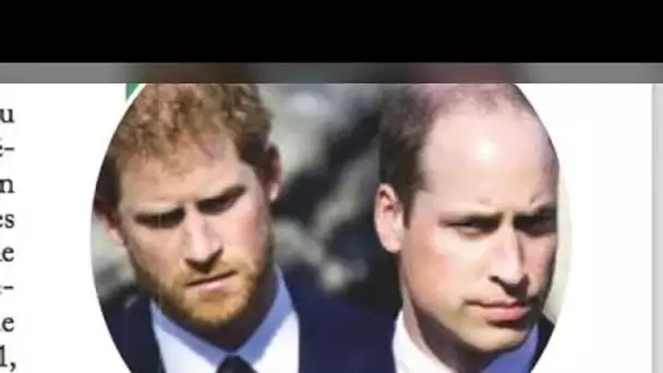 Prince Harry en veut à mort à William, sa phrase choc pour défendre Kate Middleton humiliée