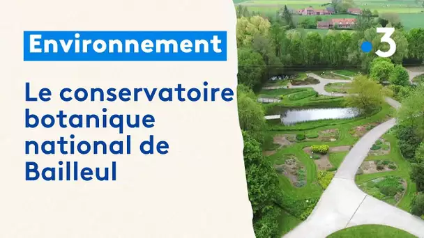 Le Conservatoire Botanique National de Bailleul au service de la flore sauvage régionale