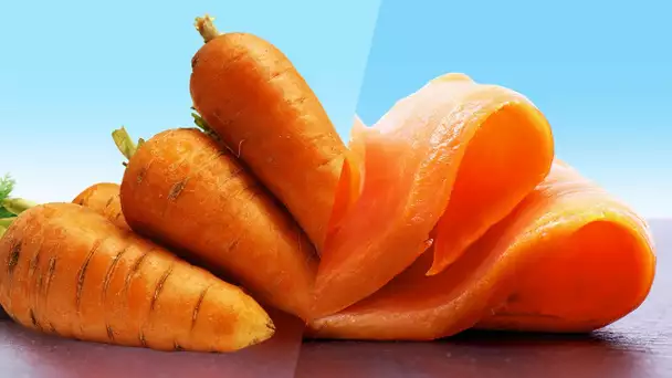 CRASH TEST : recréer du saumon à partir de carottes