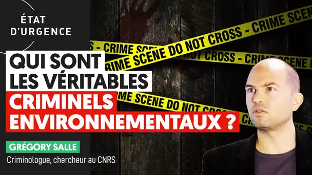 QUI SONT LES VÉRITABLES CRIMINELS ENVIRONNEMENTAUX ?