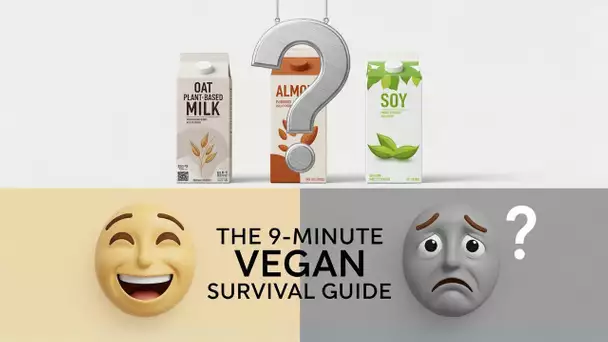 Don't Be A "Quinoa"! Choose The RIGHT Plant-Based Milk In Under 10 Mins