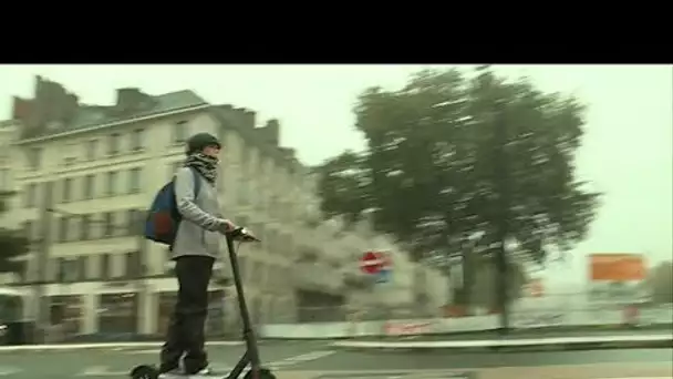 Trottinettes électriques : les règles de circulation évoluent