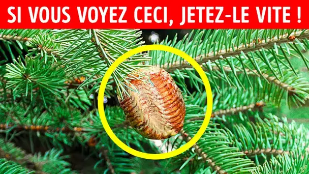 Si vous voyez ceci sur votre sapin de Noël, n'y touchez pas + autres avertissements