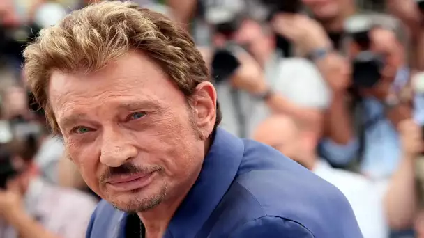 ✅  Johnny Hallyday : Le concert hommage dézingué par les chroniqueurs de TPMP