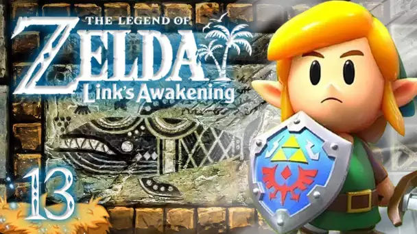 Zelda Link's Awakening HD : La vérité sur l'île Cocolint #13