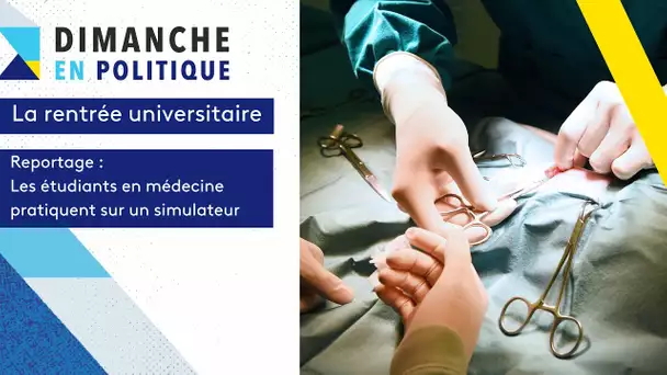 L'apprentissage de la chirurgie par simulateurs